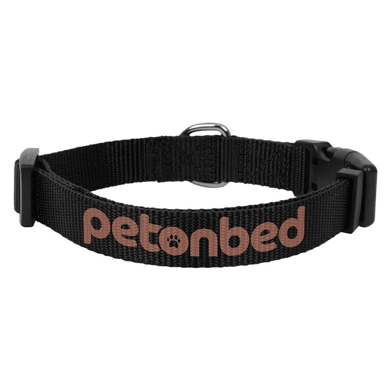 201 Basic Collar - Small