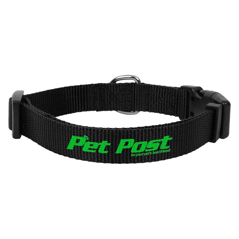 201 Basic Collar - Medium