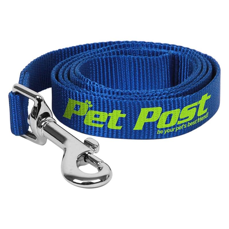 404 Dog Leash - Medium